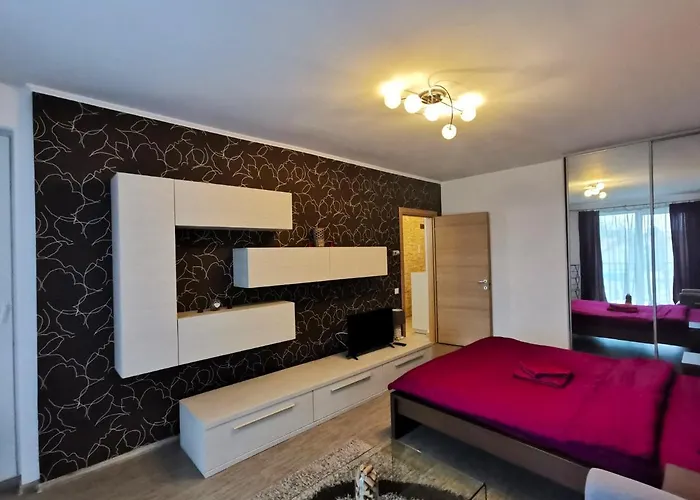 Contemporary Central Apartment In Cluj Napoca