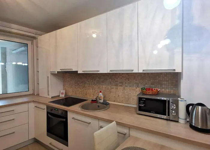 Contemporary Central Apartment In Cluj Napoca