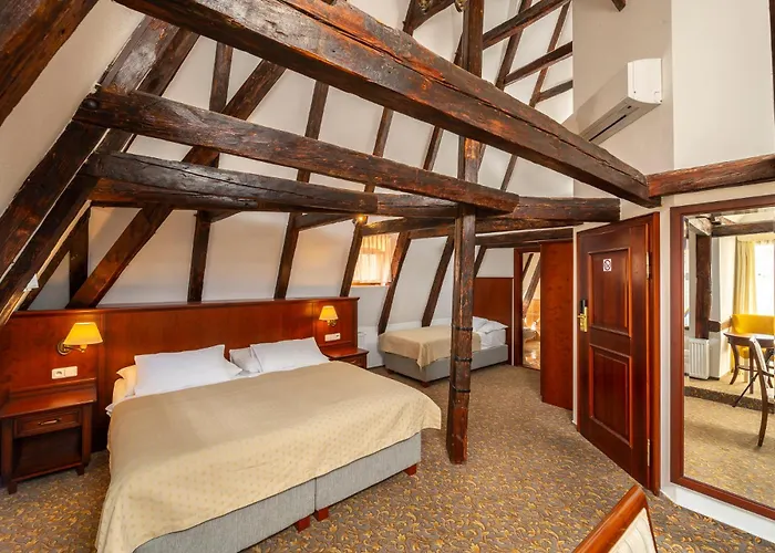 Hotel Cerny Slon Prag