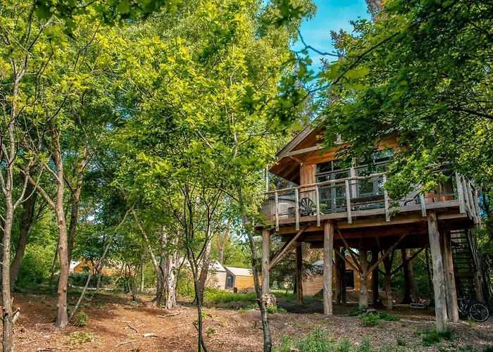 Hotel Europarcs Ruinen