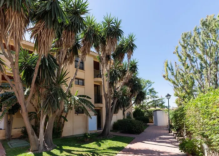 Monko Boomerang Torremolinos