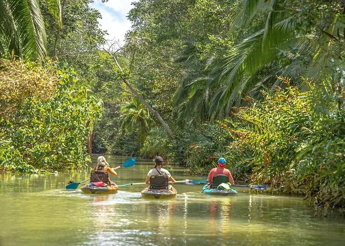 Lovely Condo Near Monkey Habitat And Beach Quepos