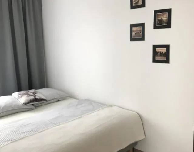 Apartament U Izy Leba