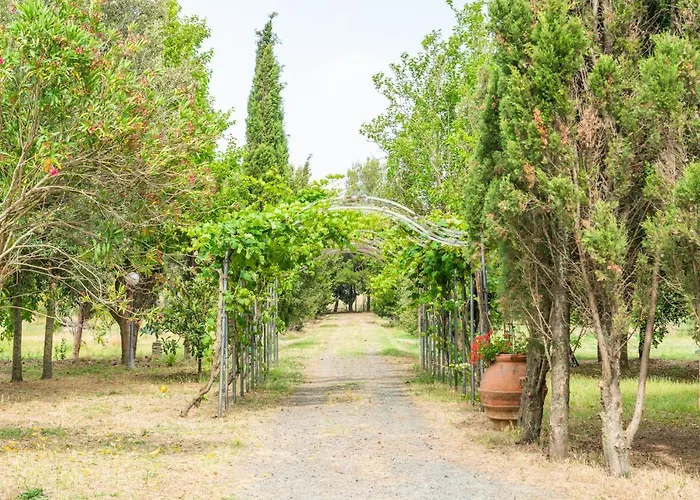 Agriturismo Le Biricoccole Vada