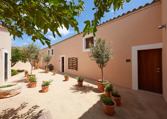 Zoetry Mallorca Wellness & Spa (Adults Only) Llucmajor 