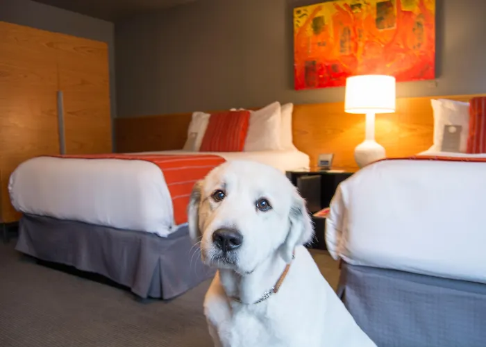Hotel Max Seattle
