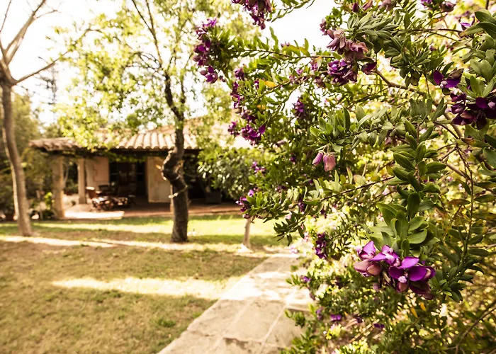 Aumallia Hotel & Spa Felanitx