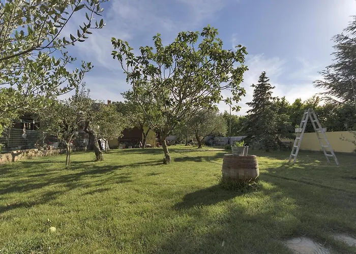 Apartments With A Parking Space Valbandon, Fazana - 15726