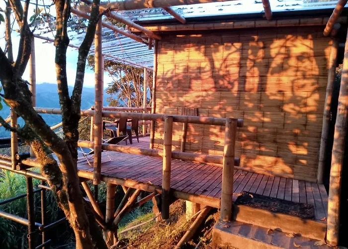 Glamping & Eco-Cabanas Salento Hakuna Matata Timon