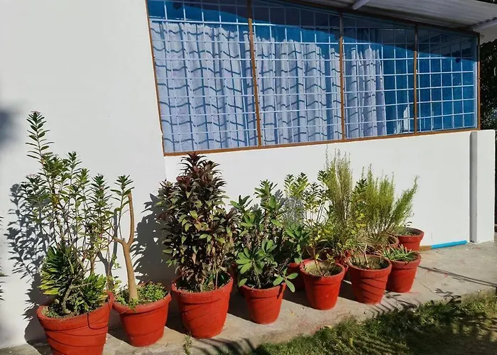Green Diamond Homestay Dehradun