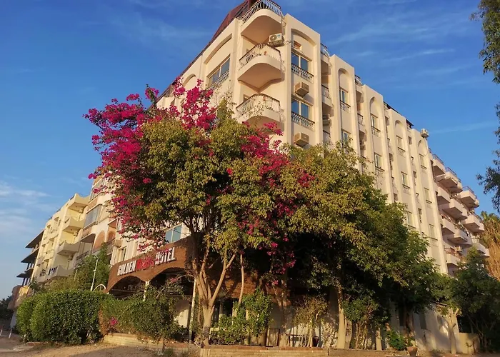 Golden Rose Hotel Hurghada