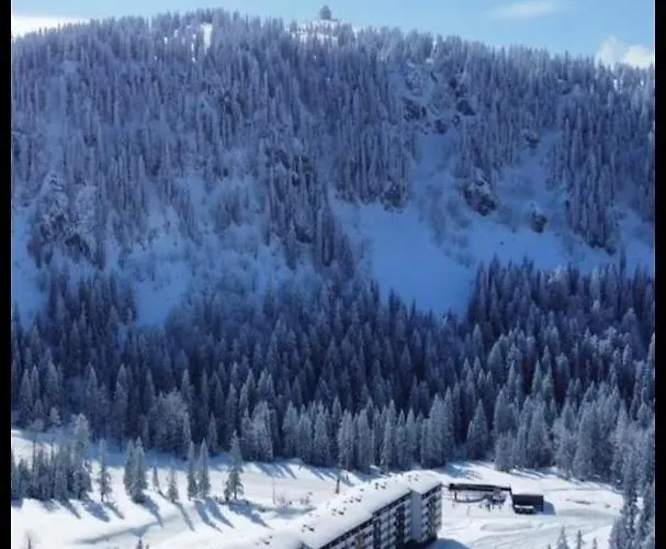 Apartman Winter Night Snjezna Dolina Jahorina