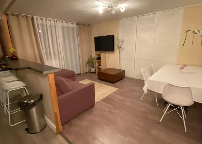 Bel Appartement Avec Piscine Et Vue Sur Paris