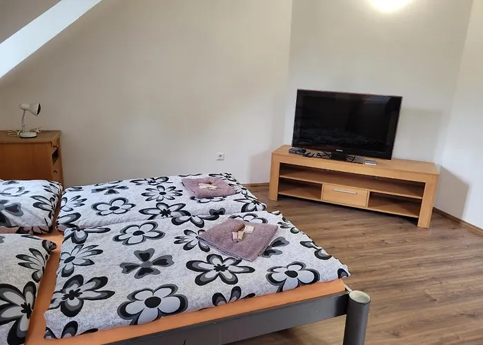 Studentska Apartments Karlsbad