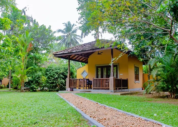 Birds Paradise Cabanas Unawatuna