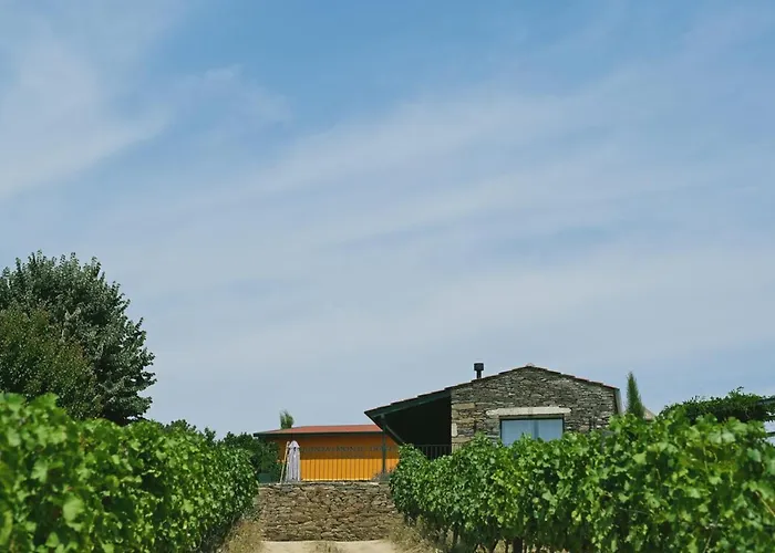 Quinta Do Monte Travesso - Country Houses & Winery Tabuaço