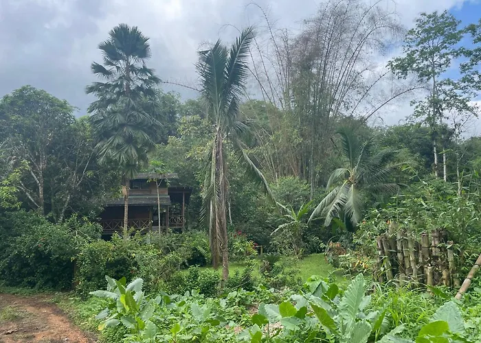 Caoni Riverside Lodge Puerto Quito