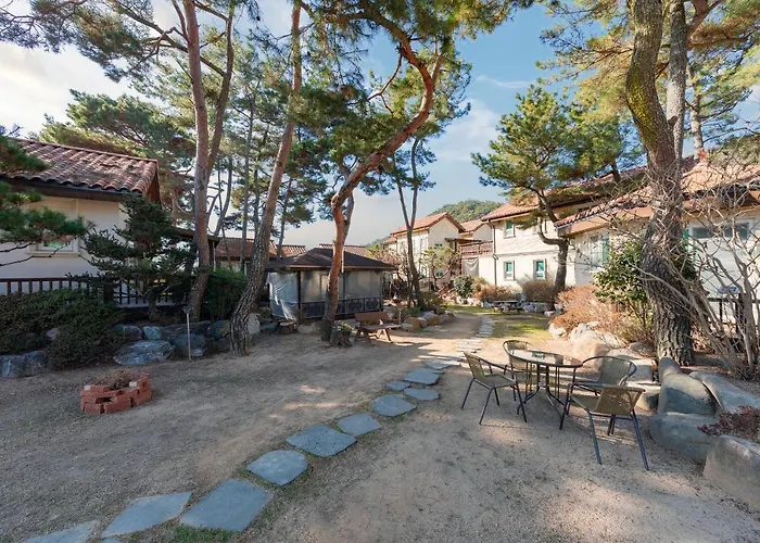 Clear Morning Pet Friendly Pension Gyeongju