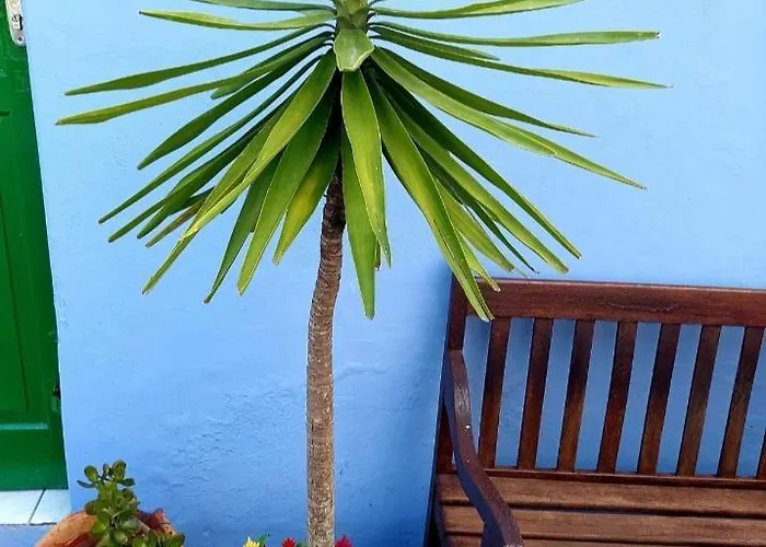 Ferienwohnung Porao Reformado No Centro De Floripa Florianópolis