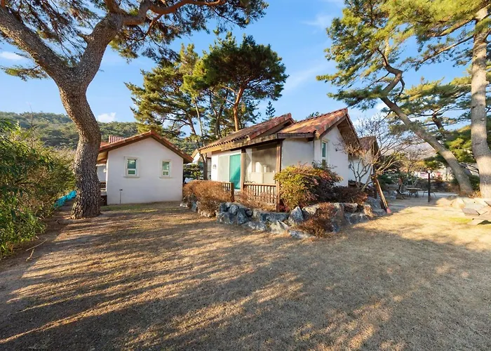 Clear Morning Pet Friendly Pension Gyeongju