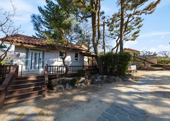 Clear Morning Pet Friendly Pension Gyeongju