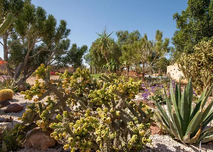 Hotel L'Oasis De Kima Taroudant