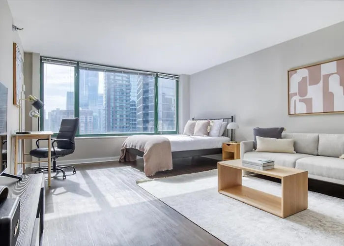 Streeterville Studio W Pool Gym Nr Park Chi-581 Chicago