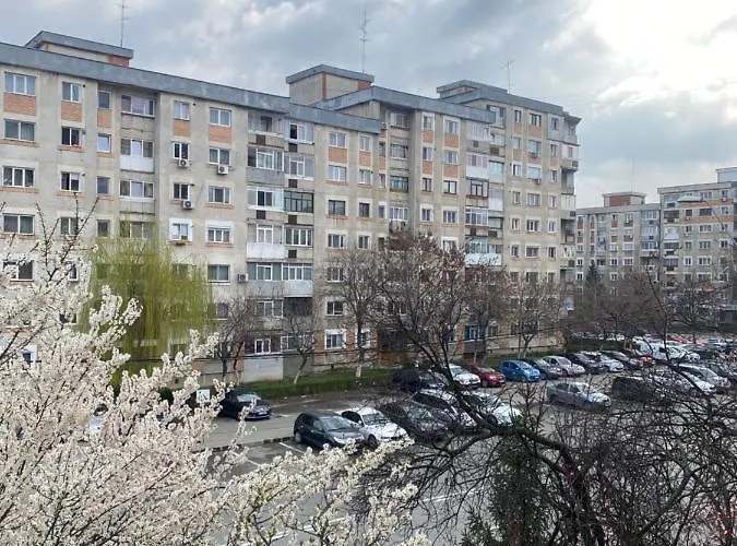 Virginia'S Studio Piteşti