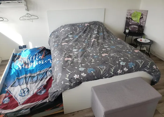 Jolie Grand Studio Avec Vue Sur Les Vosges, Balcon Mülhausen