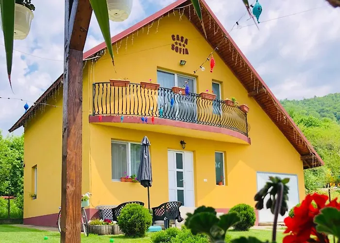 Villa Casa Sofia Călimăneşti