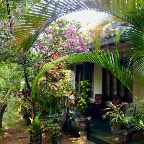 Village Feel Home Stay Sigiriya