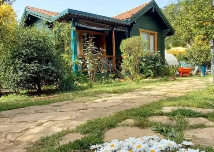 Turkuaz Bungalows Çıralı