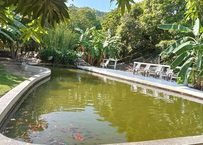 Finca Los Mangos Palomino