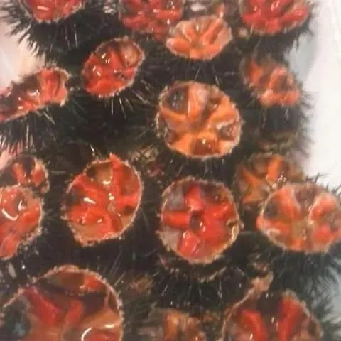 Dal Pescatore Appartamenti Savelletri