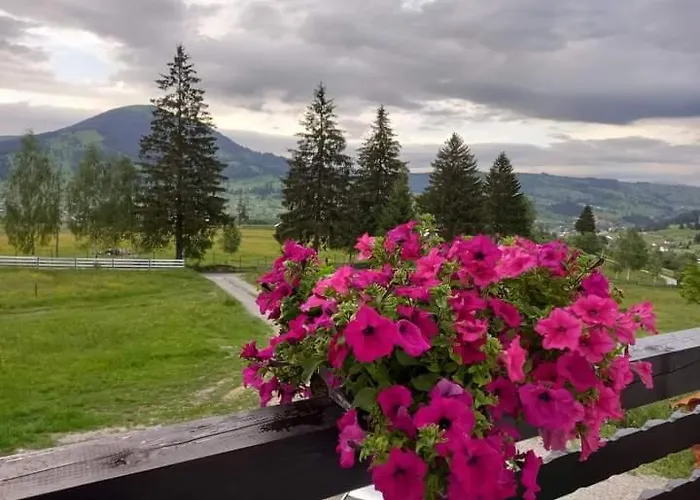 Hotel Casa Lena -Vatra Dornei