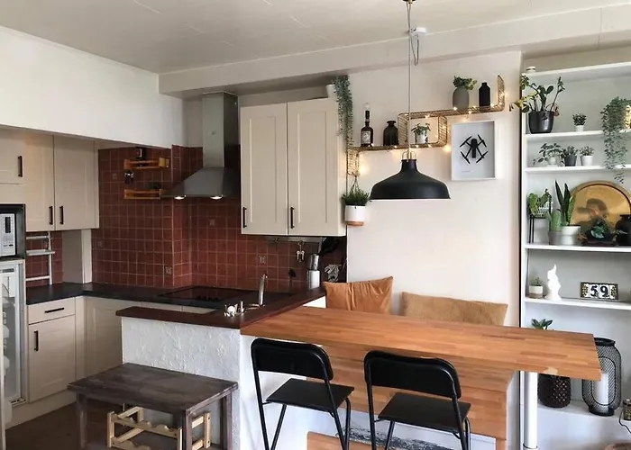Studio Zeezucht Blankenberge