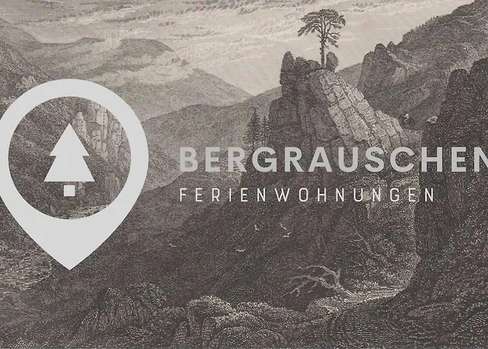 Bergrauschen - Baumkrone - Preise inklusive Wäsche Goslar