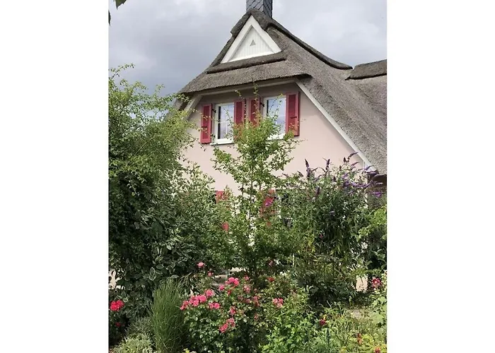 Lady And The Tramp Comfortable Vacation Home Zierow