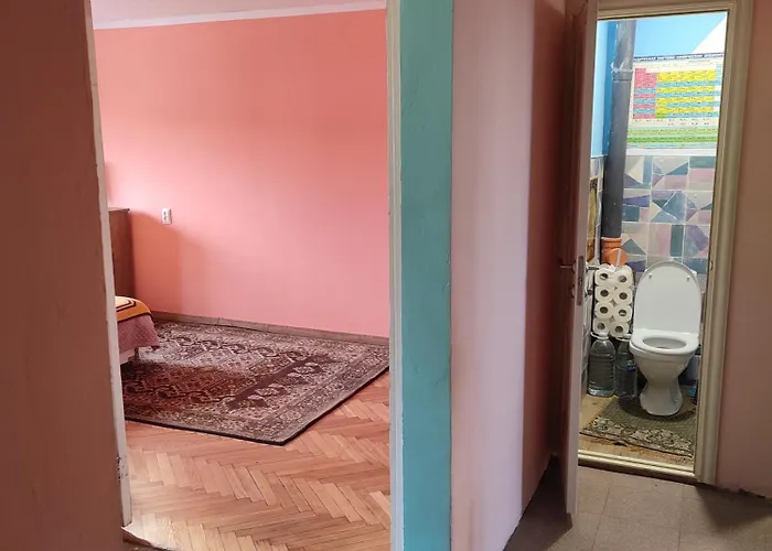 One Room In Apartment In The Park Center Area Of Kischinau