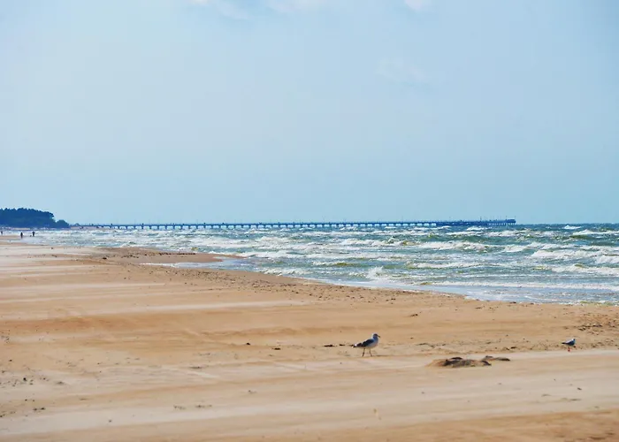 See Segrate Elija Apartment Palanga