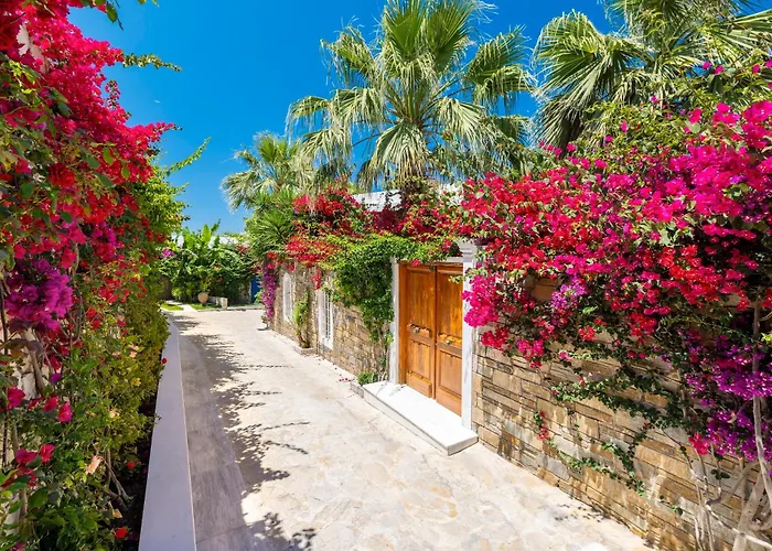 Porto Zante Villas And Spa Tragaki