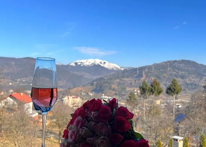 Cabana A Borşa