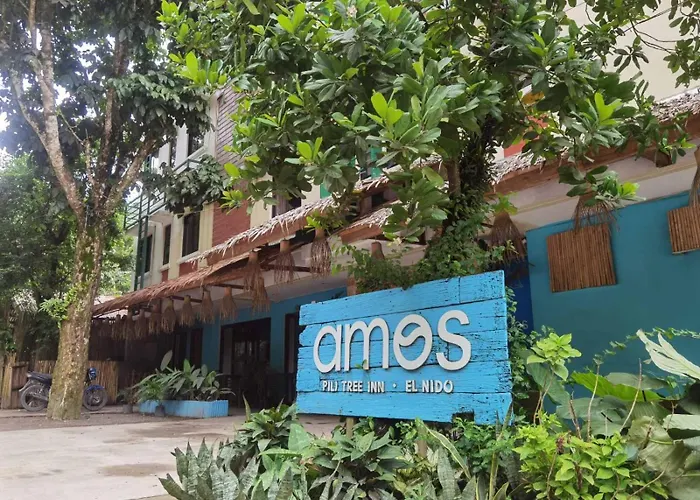 Amos Pili Tree Inn Powered By Cocotel El Nido