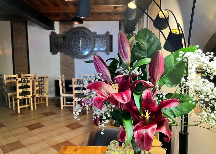 Hotel Stara Plynarna Hřensko