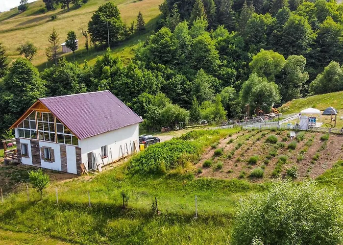 Farm Stay Agroturism Bori Punct Gastronomic Local Gura Humorului