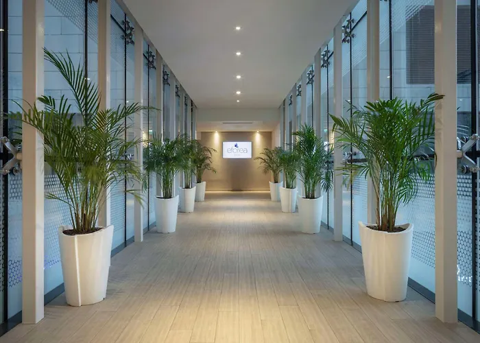 Hotel Hilton Batumi