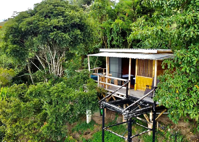 Glamping & Eco-Cabanas Salento Hakuna Matata Timon