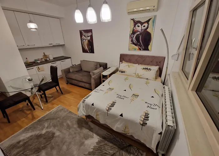 Owl Apartment Belgrad
