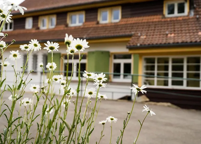 Pension zum Hexenstieg Schierke