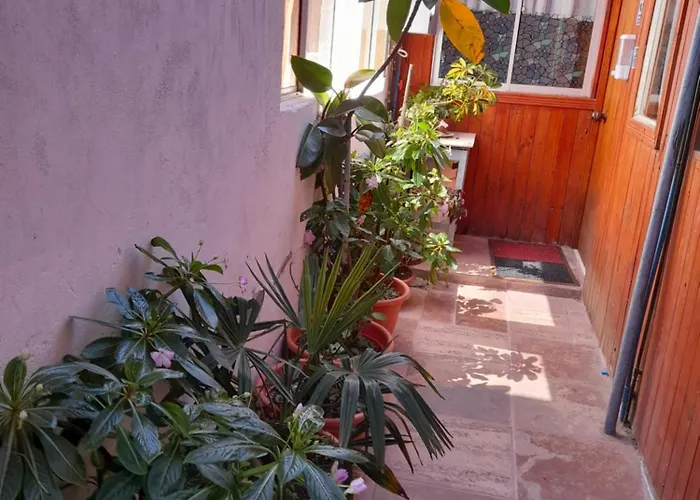 Ferienwohnung Departamentos Coguil Pichilemu